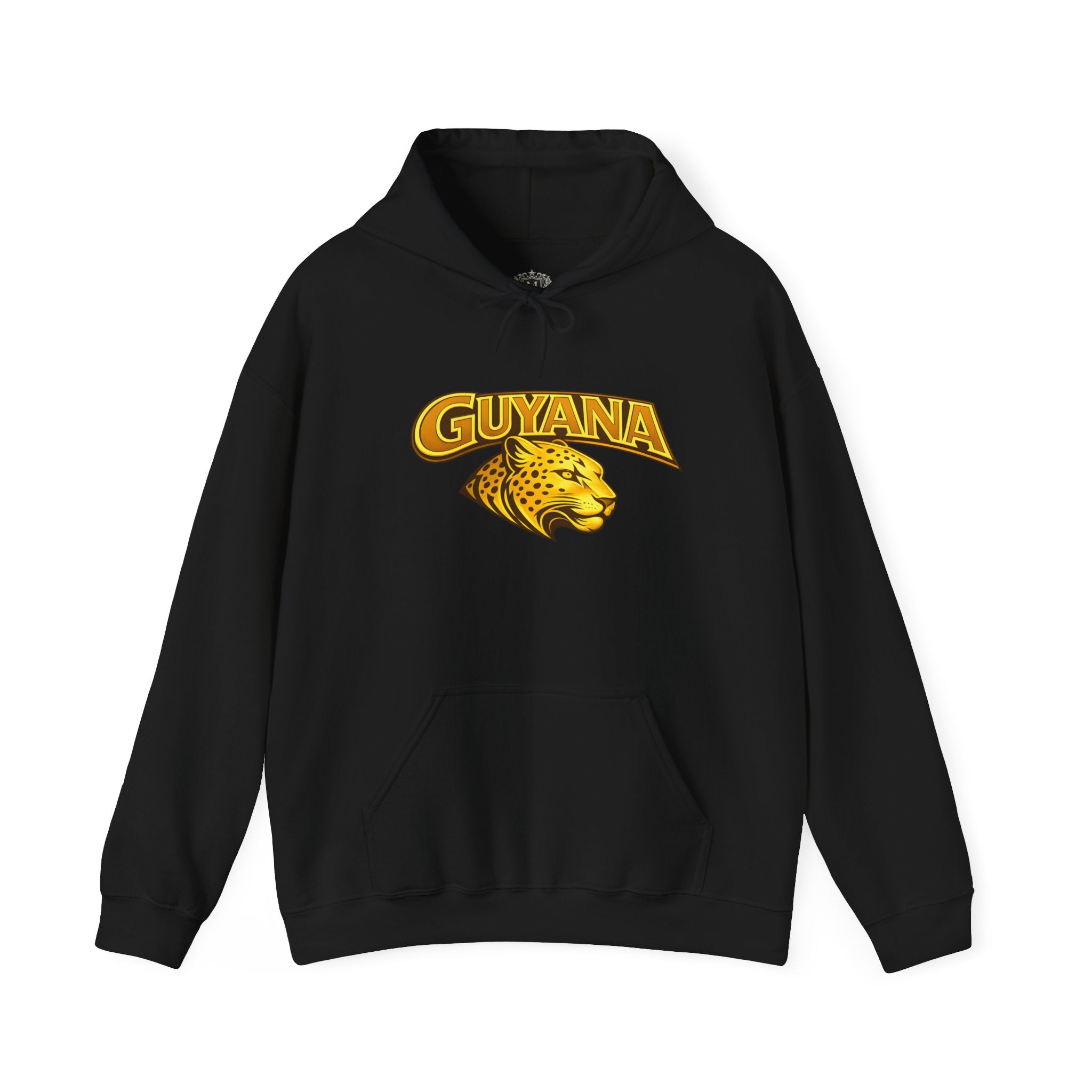 Guyana Jaguar Hoodie — Vintage Bold Logo Pullover